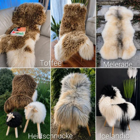 Szeroki wybór najwyższej jakości skór owczych! Adam Leather 5