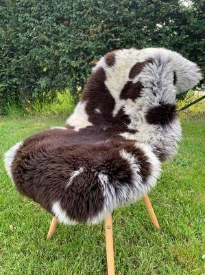 Holländisches Schaffell und Texel - dekorativer Teppich 5