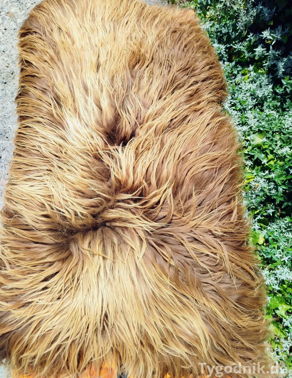 Flauschiges Schaffell Heidschnucke - Teppiche/Naturdekoration