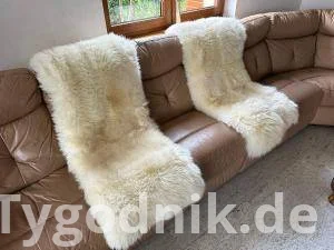 Holländisches Schaffell und Texel - dekorativer Teppich